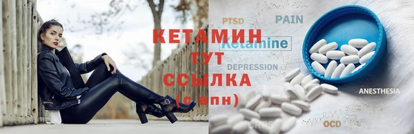 a pvp Дмитров